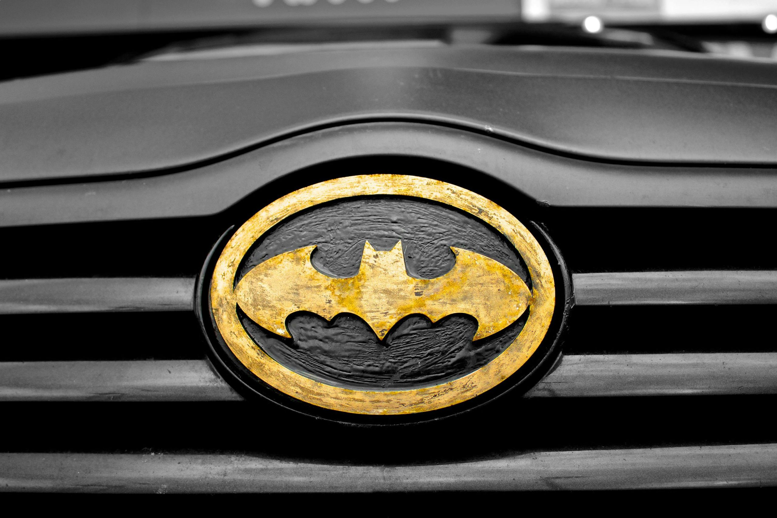 Bewiesen: Batman ein Schwindler – Ist gar keine Fledermaus und stammt auch nicht von ihr ab