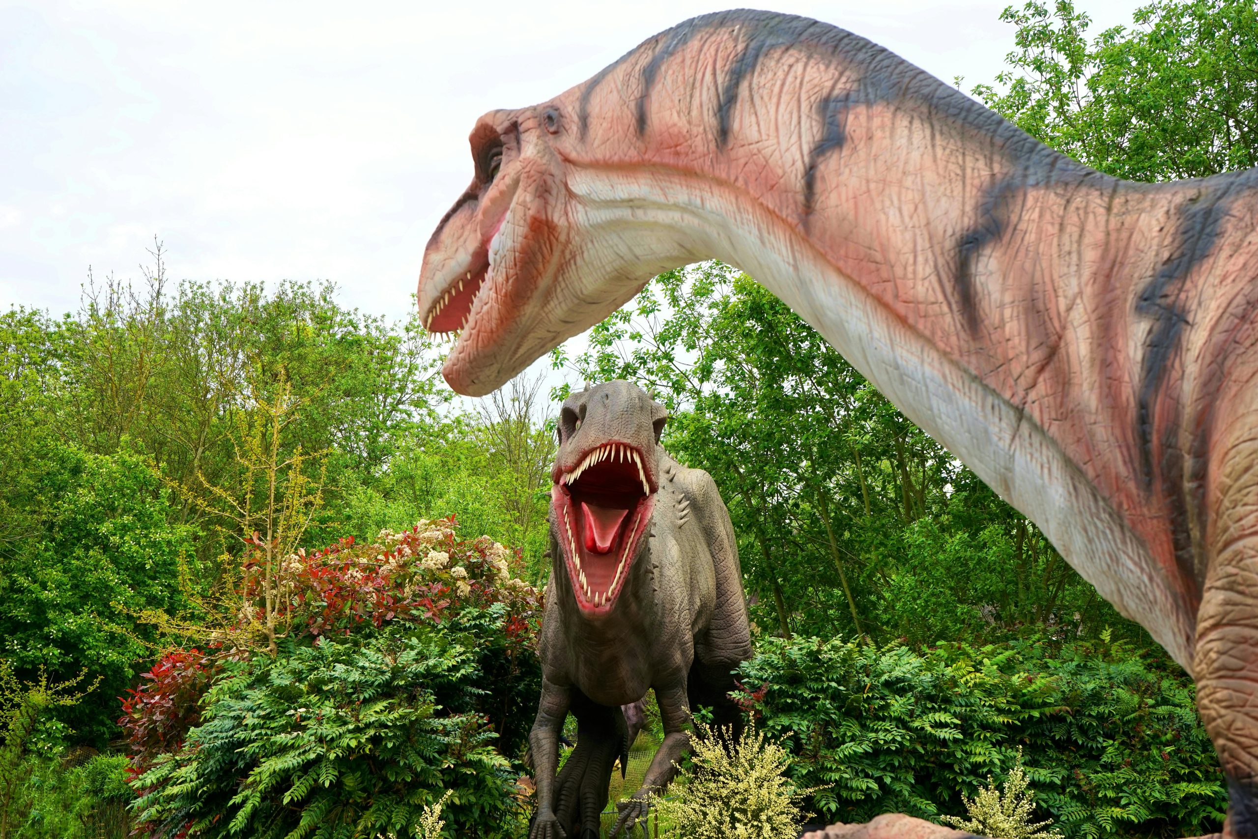 Die ganze Wahrheit: Deswegen starben die Dinosaurier tatsächlich aus – Neue Studie macht Meteor, Gluten und schlechte Laune verantwortlich