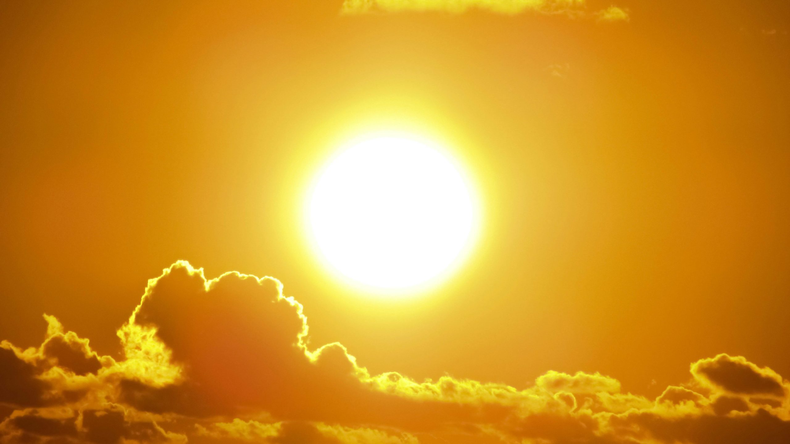 Rot ist das neue Braun – Sonne zu stark, Haut kapituliert kollektiv