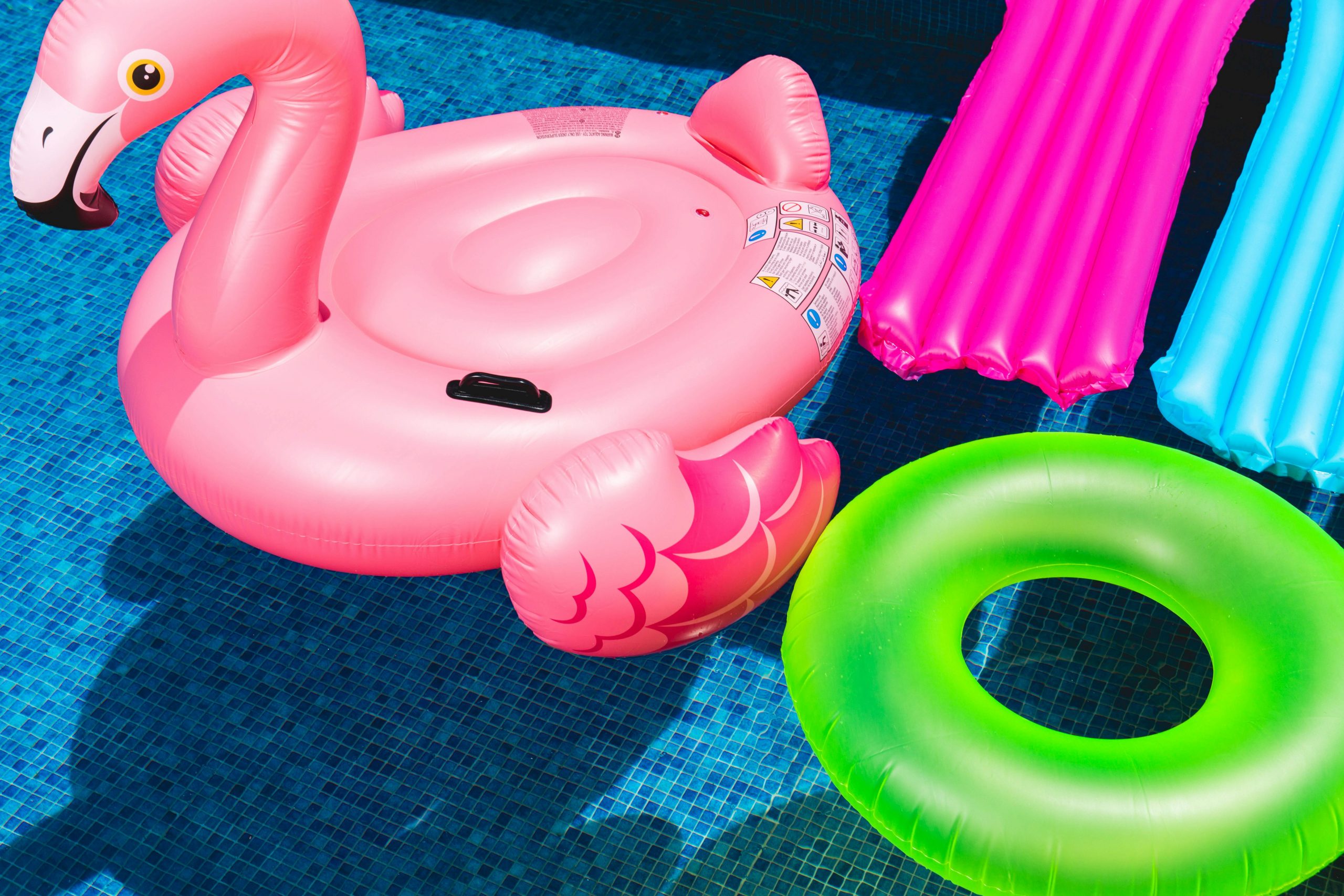 Schweizer Freibad führt Ahnenpass ein – Einlass nur noch mit Nachweis bis ins 15. Jahrhundert