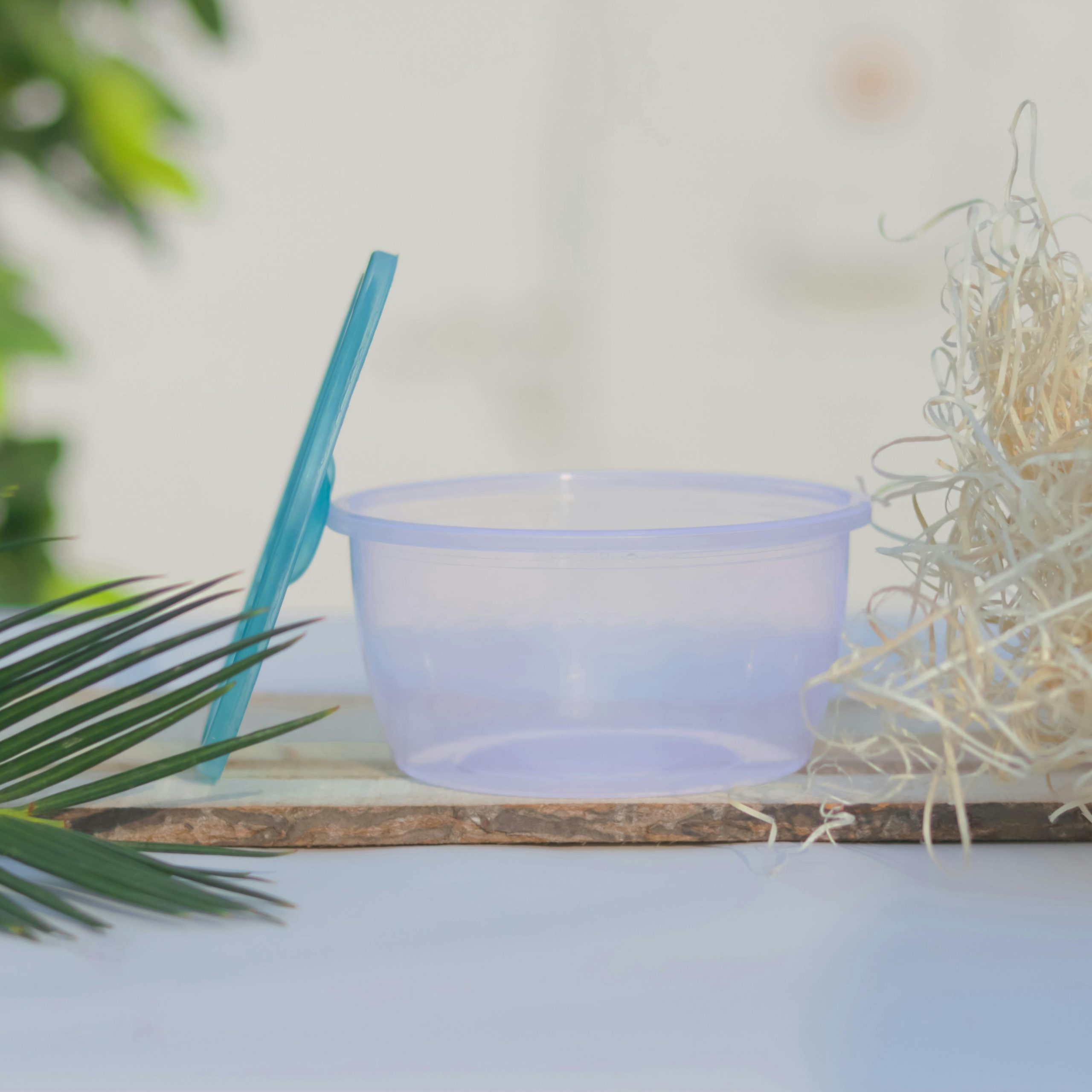 Plastik mit Fortpflanzungstrieb – Tupperdosen vermehren sich heimlich