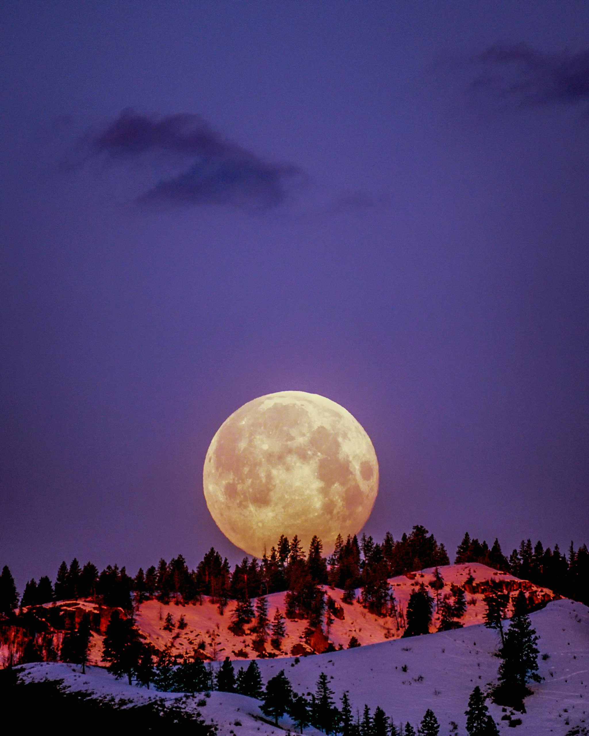 USA wollen Atomreaktor auf dem Mond bauen – die ultimative Wettbewerbszone