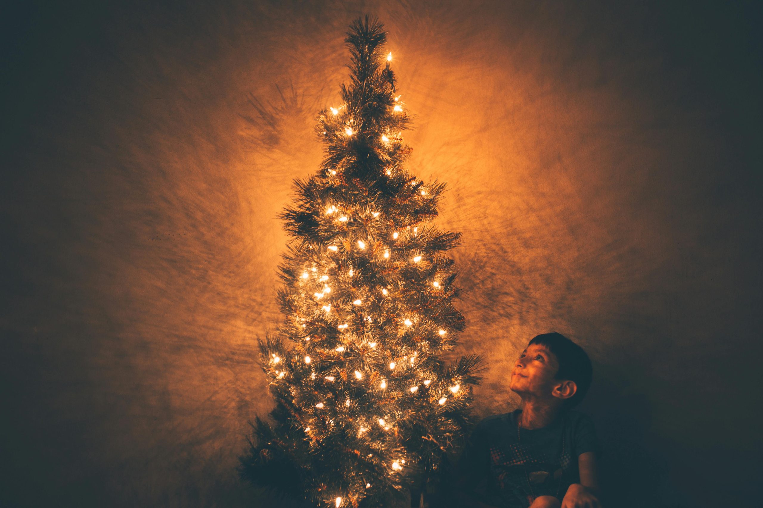 Trauer um den Tannenbaum-Flüsterer: Erfinder des perfekten Christbaumständers in Bayern gestorben